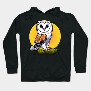 Sticker of wise looking owl stood on branch with a yellow and orange circle background. Hoodie